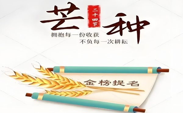 在芒种的季节里